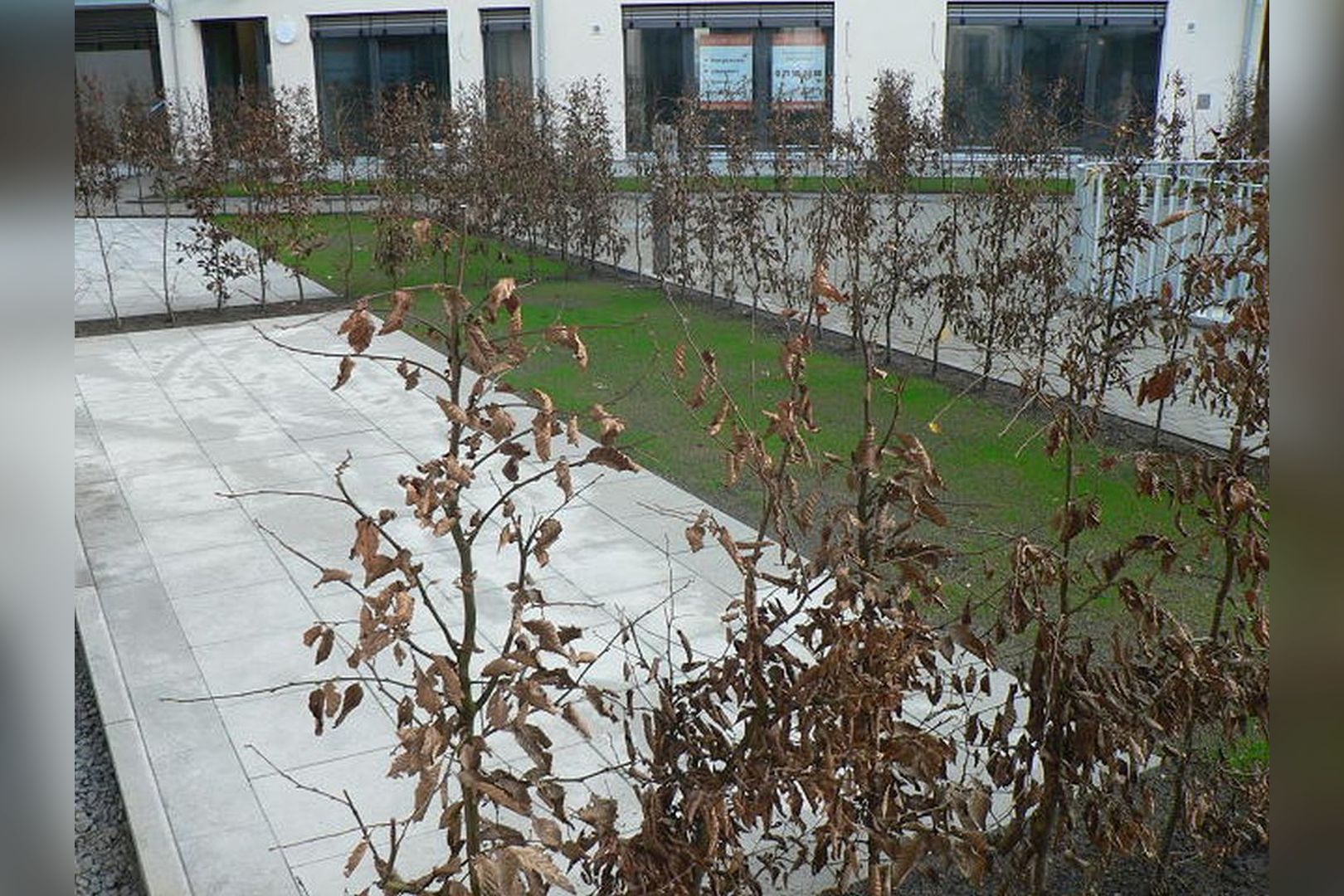 Immobilie Nr.Hilden 002 - 3-Raum-Maisonette mit Gartenterrasse als Innovation auf cleverer Erbbauliegenschaft der kath. Kirche - Bild 3.jpg