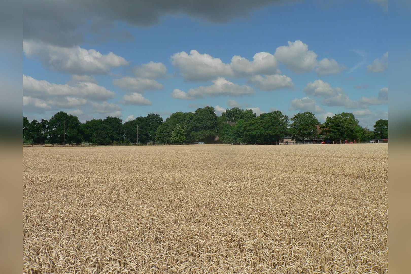 Immobilie Nr.BÖ-000 - Energieeffizientes Neubauquartier mit 20 Wohneinheiten und TG - Bild 4.jpg