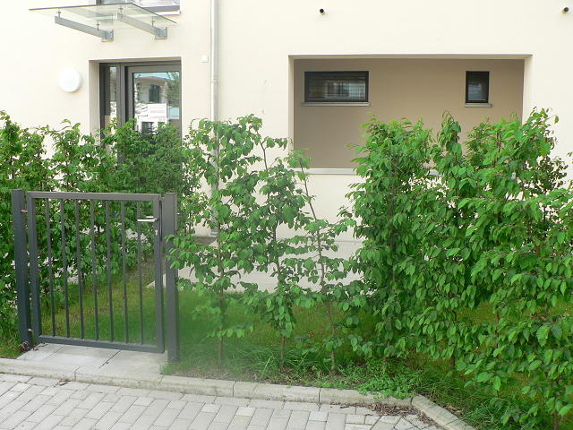 Immobilie Nr.Kö WE 1.2 - -Garten-Wohnung mit 3 Zimmern und TG-Stellplatz - Bild 17.jpg