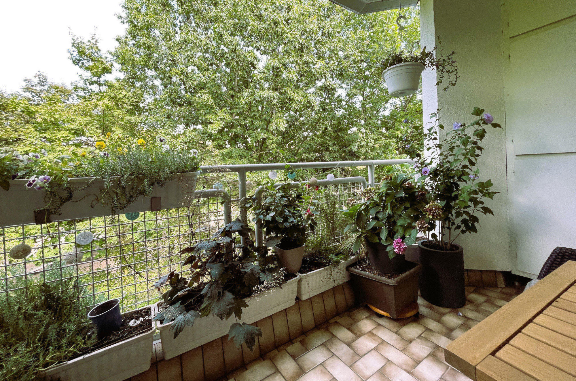 Immobilie Nr.0394 - 4-Zimmer-Wohnung - Bild 2.jpg