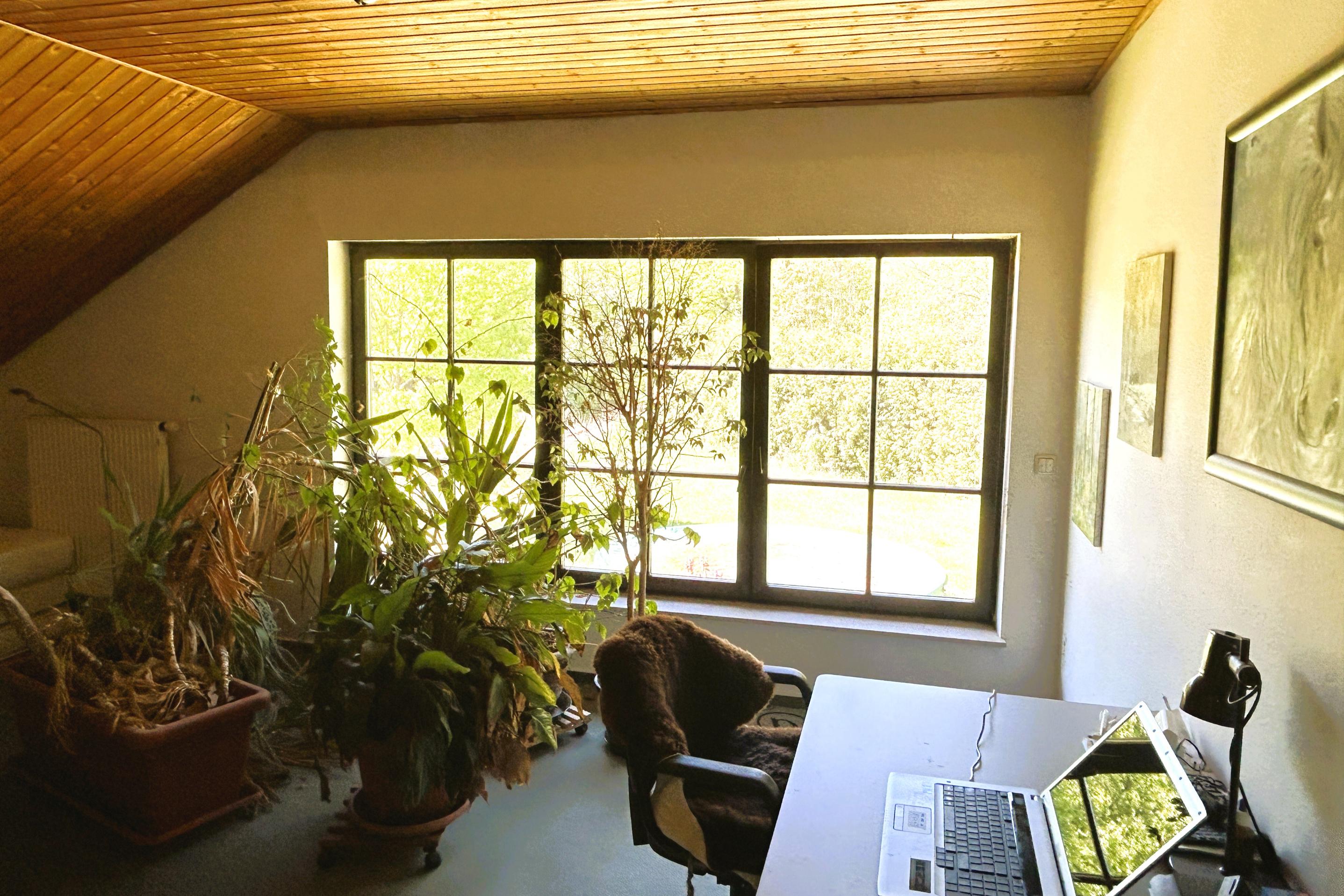Immobilie Nr.0532 - Einfamilienhaus + Gewerbeeinheit o. Einliegerwohnung - Bild 9.jpg