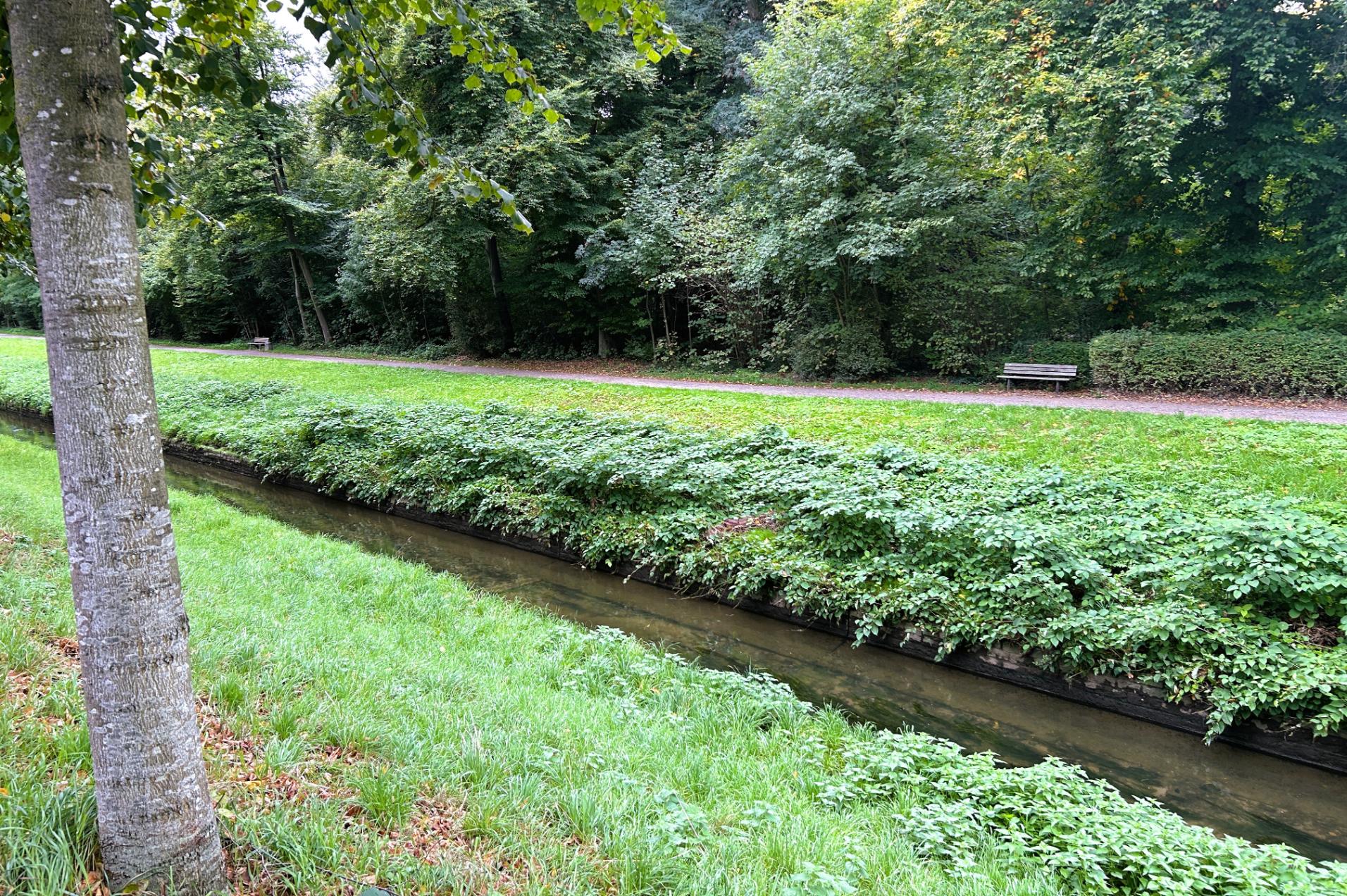 Immobilie Nr.0555 - Etagenwohnung - Hochparterre - Bild 16.jpg