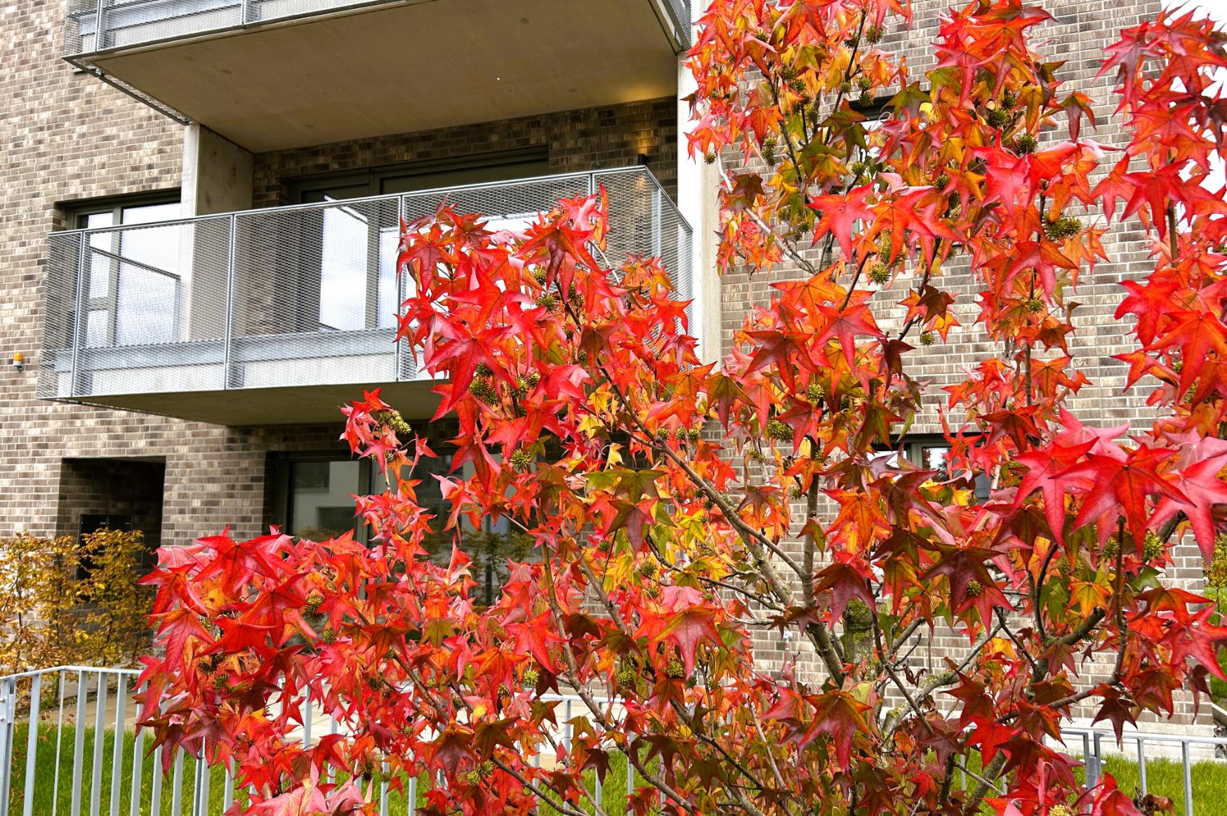 Immobilie Nr.2.16 - Etagenwohnung - Bild 15.jpg