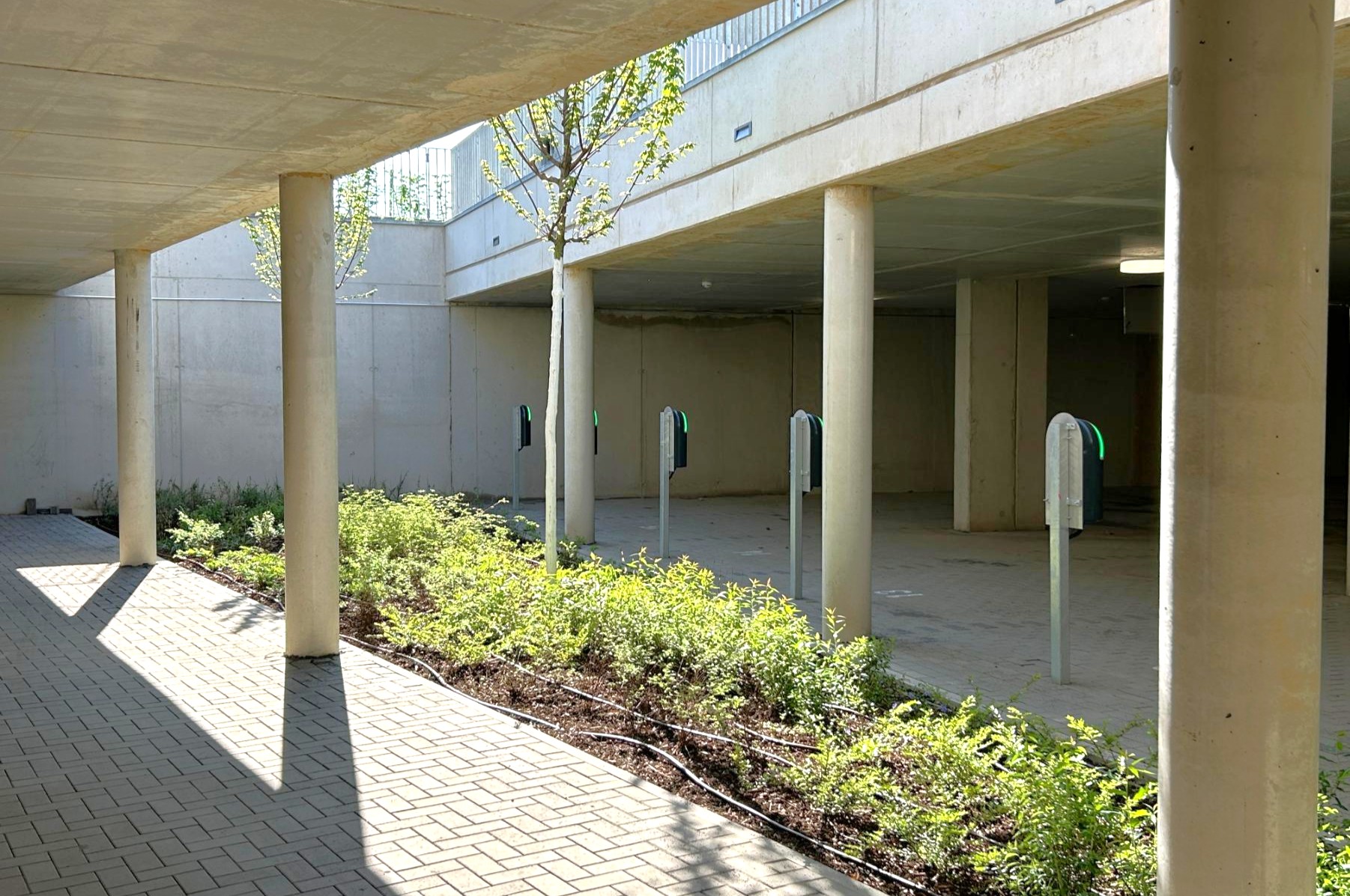 Immobilie Nr.6.54 - Erdgeschosswohnung - Bild 8.jpg