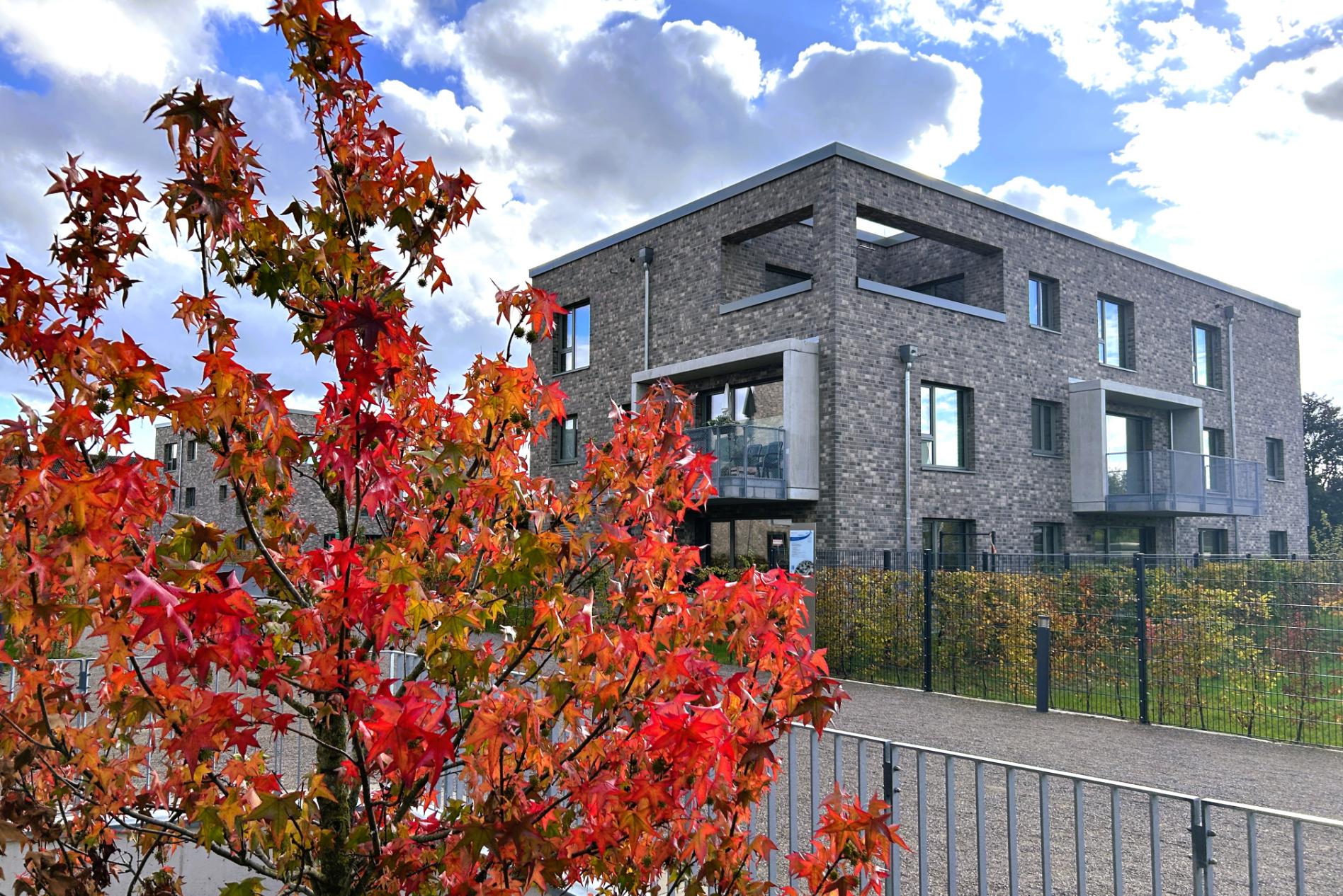 Immobilie Nr.1.06 - Etagenwohnung - Bild 13.jpg