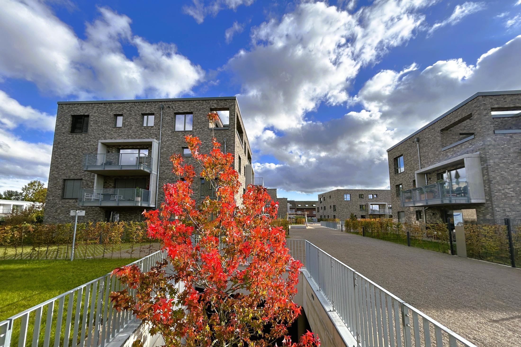 Immobilie Nr.4.38 - Etagenwohnung - Bild 15.jpg