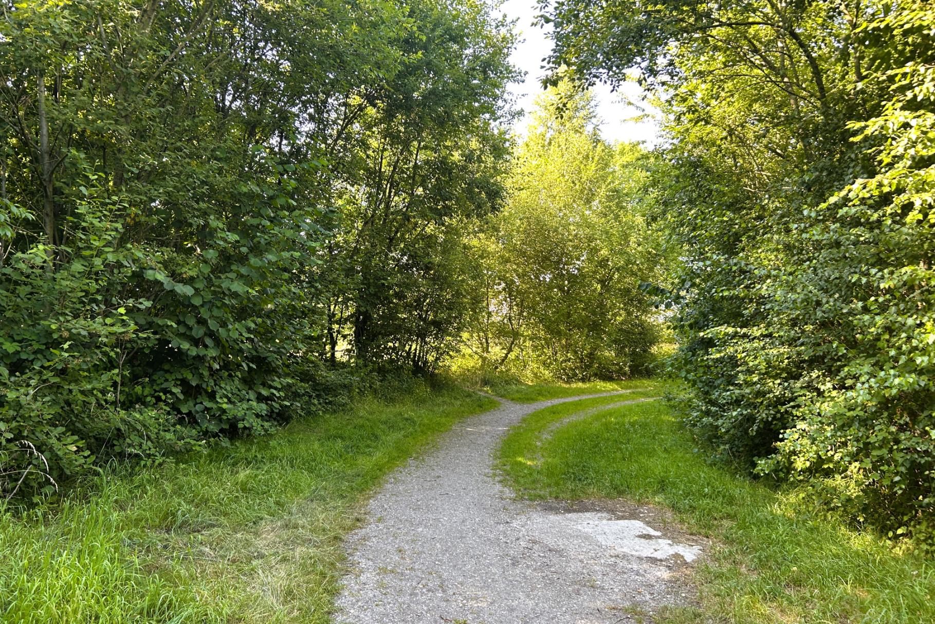 Immobilie Nr.0548 - Baugrundstück - Bild 4.jpg