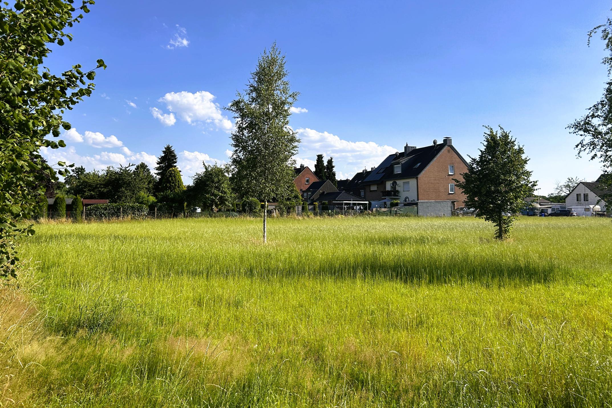 Immobilie Nr.0548 - Baugrundstück - Bild 5.jpg