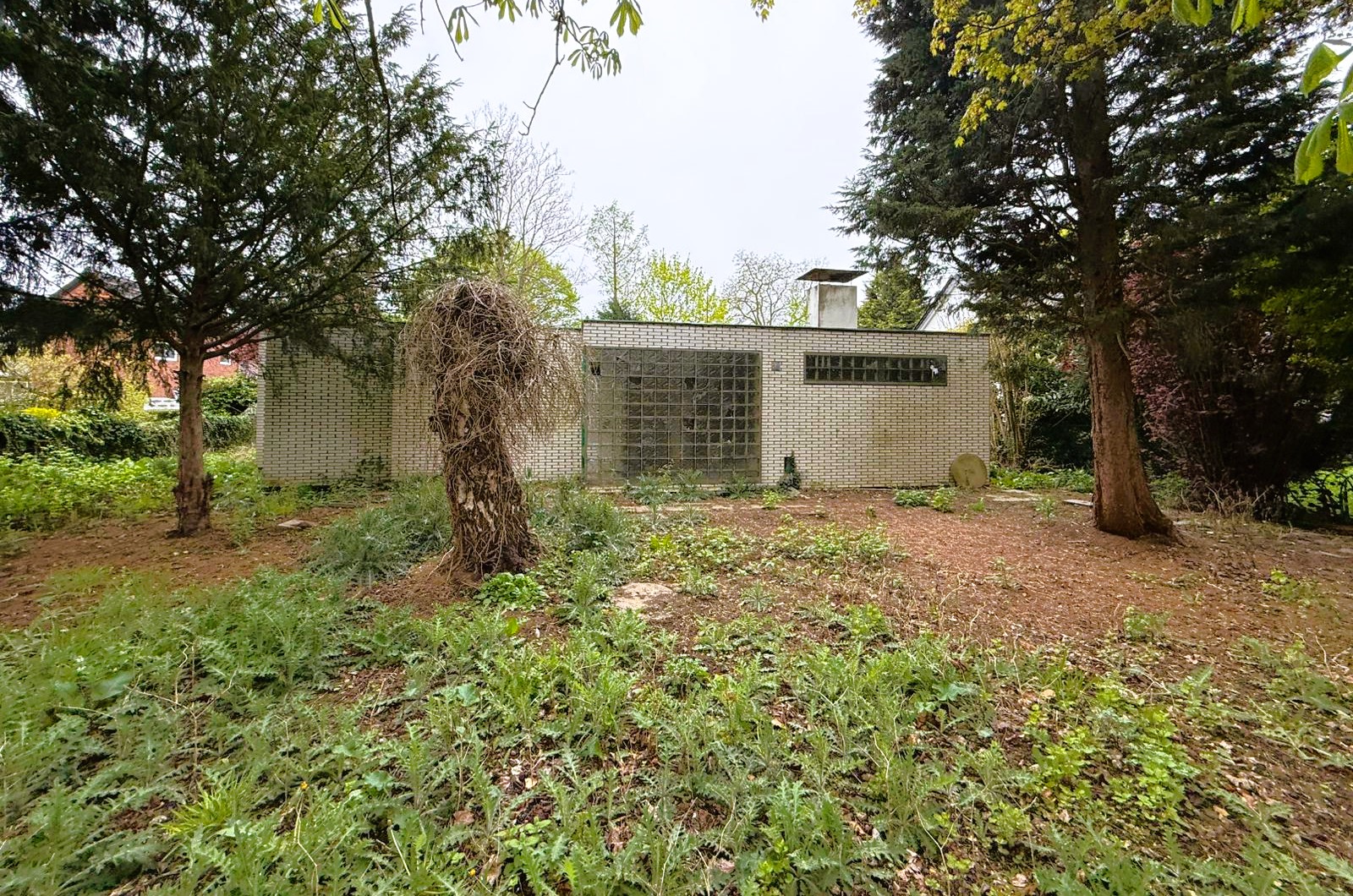 Immobilie Nr.0583 - Baugrundstück - Bild 2.jpg