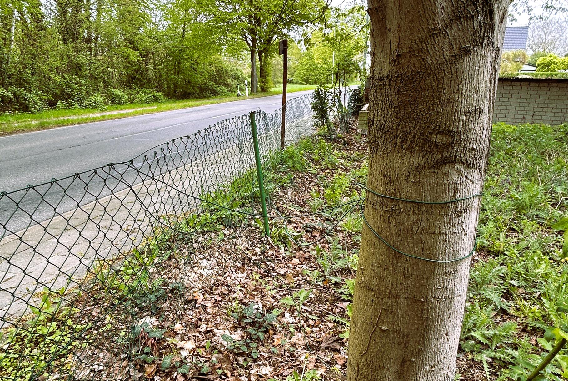 Immobilie Nr.0583 - Baugrundstück - Bild 4.jpg