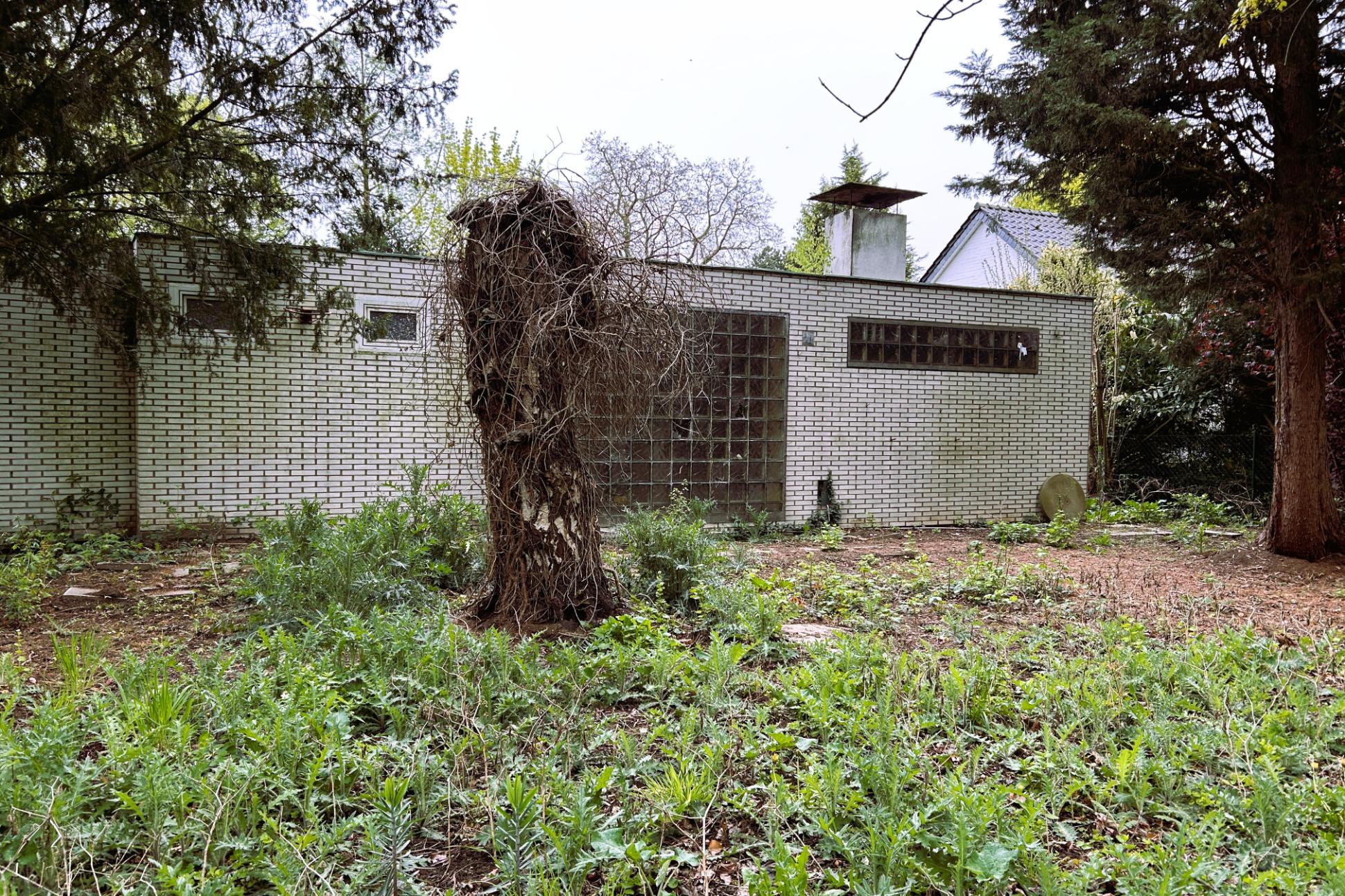 Immobilie Nr.0583 - Baugrundstück - Bild 9.jpg