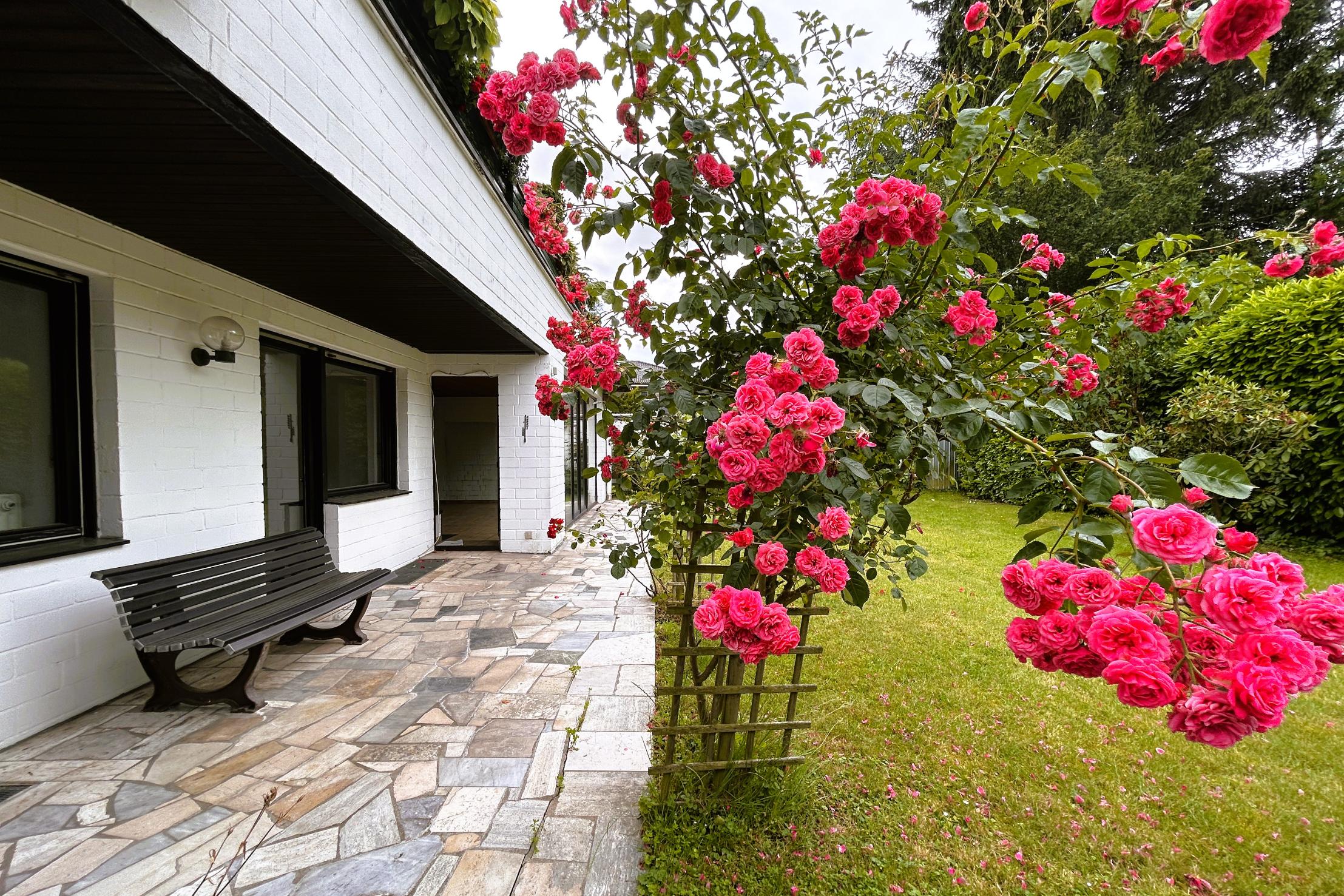 Immobilie Nr.0608 - Terrassenwohnung - Bild 16.jpg