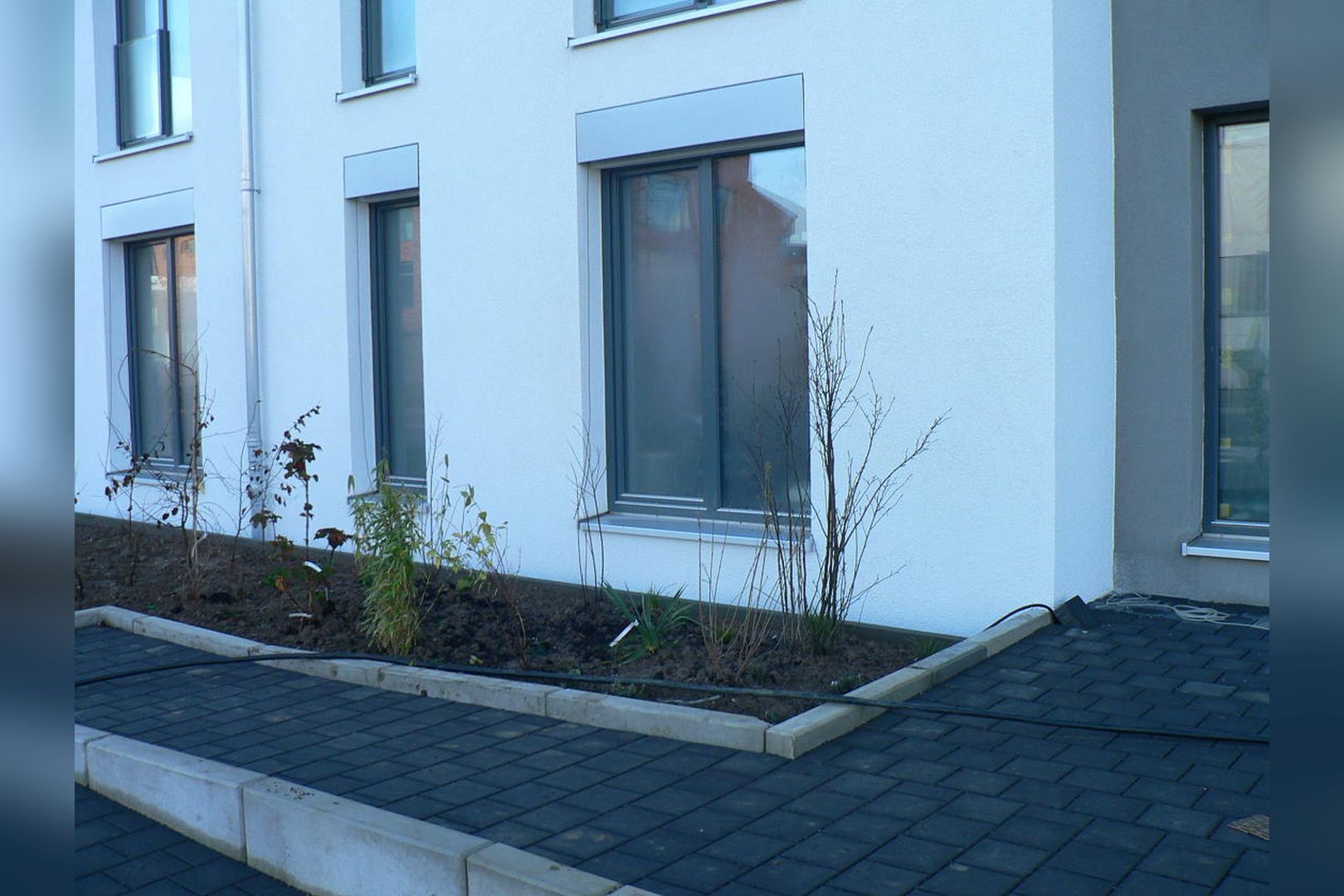 Immobilie Nr.Köln 001.3 - 2-Raum-Wohnung HAUS 1, mit Terrasse u. Gartennutzung, mit Aufzug im Haus! - Bild 4.jpg